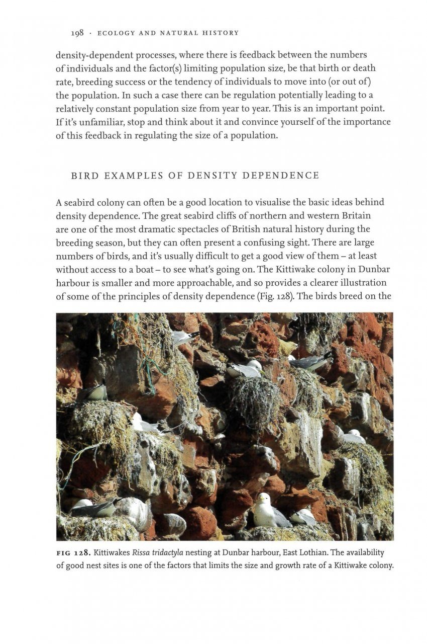 Beschadigd exemplaar - Ecology and Natural History