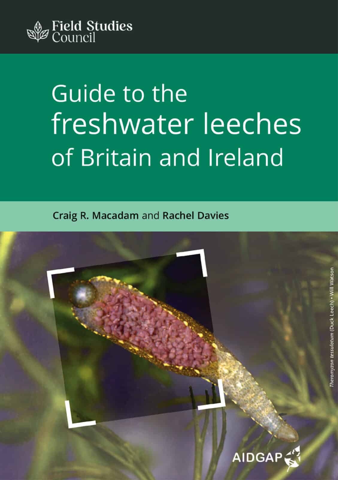 Guide to the Freshwater leeches of Britain and Ireland