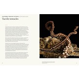 The Animal Mind - Profiles of Intelligence and Emotion