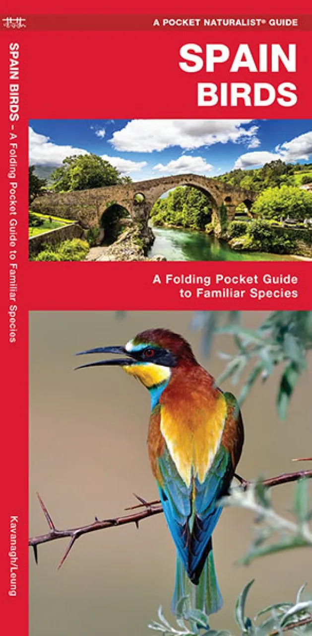 Spain Birds -  A Folding Pocket Guide to Familiar Species