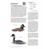 Handboek Vogels van Nederland