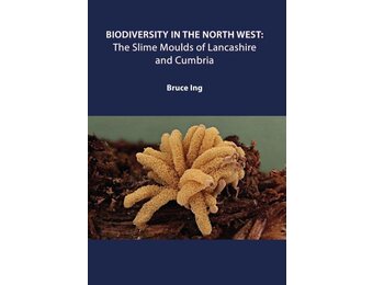 The Slime Moulds of Lancashire and Cumbria