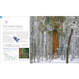 Natural Wonders of the World