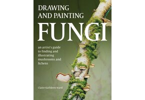 Drawing and Painting Fungi