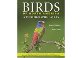 Birds of North America: A Photographic Atlas