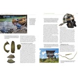 Van vondst tot verhaal. Archeologische vondsten in particulier bezit