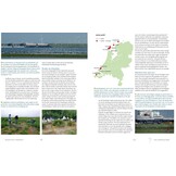 ‘Fraaie Schepsels’. De grote stern in Nederland