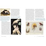 ‘Fraaie Schepsels’. De grote stern in Nederland