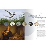 ‘Fraaie Schepsels’. De grote stern in Nederland