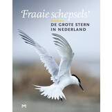 ‘Fraaie Schepsels’. De grote stern in Nederland