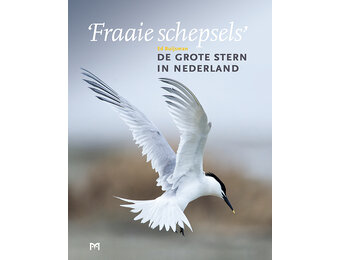 ‘Fraaie Schepsels’. De grote stern in Nederland