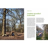 Mini Expedities in Europa - Avonturen in en om steden