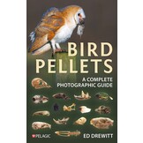 Bird Pellets - A Complete Photographic Guide