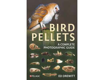 Bird Pellets