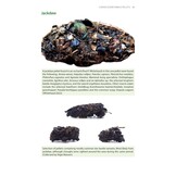 Bird Pellets - A Complete Photographic Guide