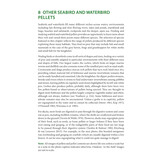 Bird Pellets - A Complete Photographic Guide