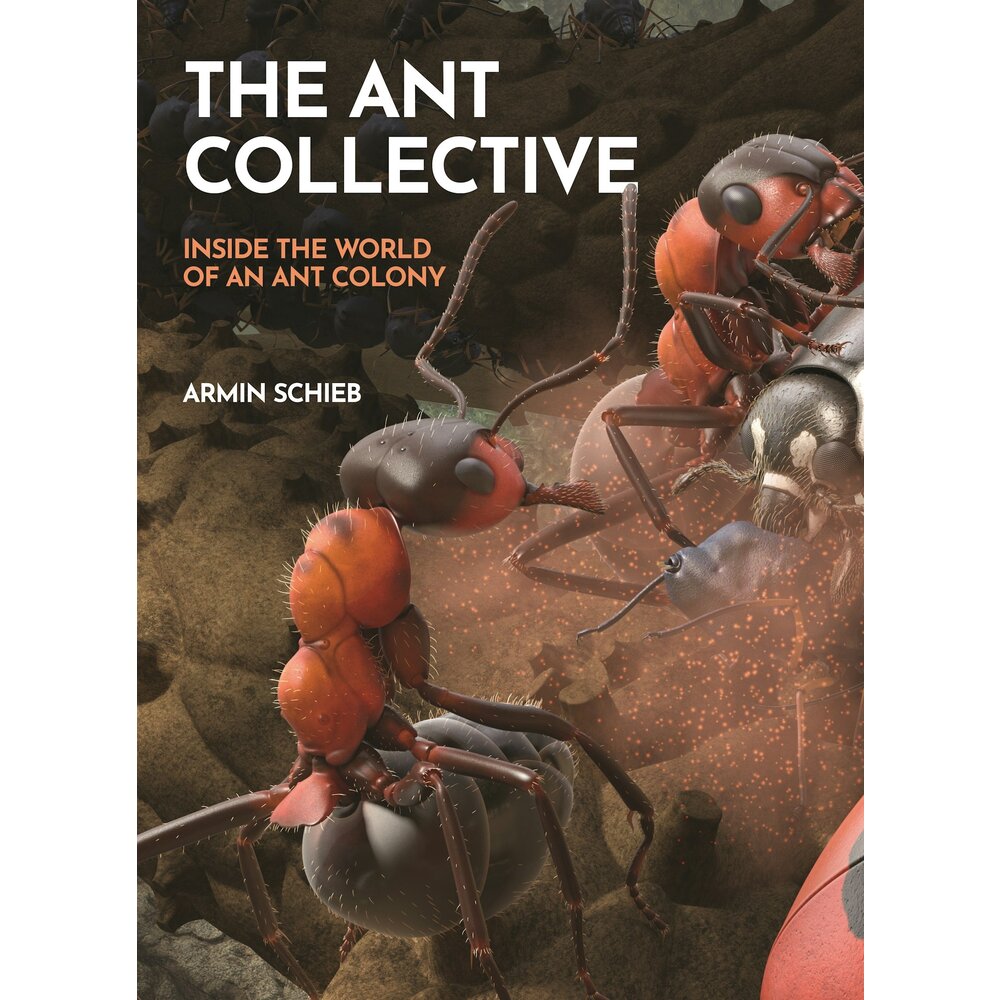 The Ant Collective - Veldshop