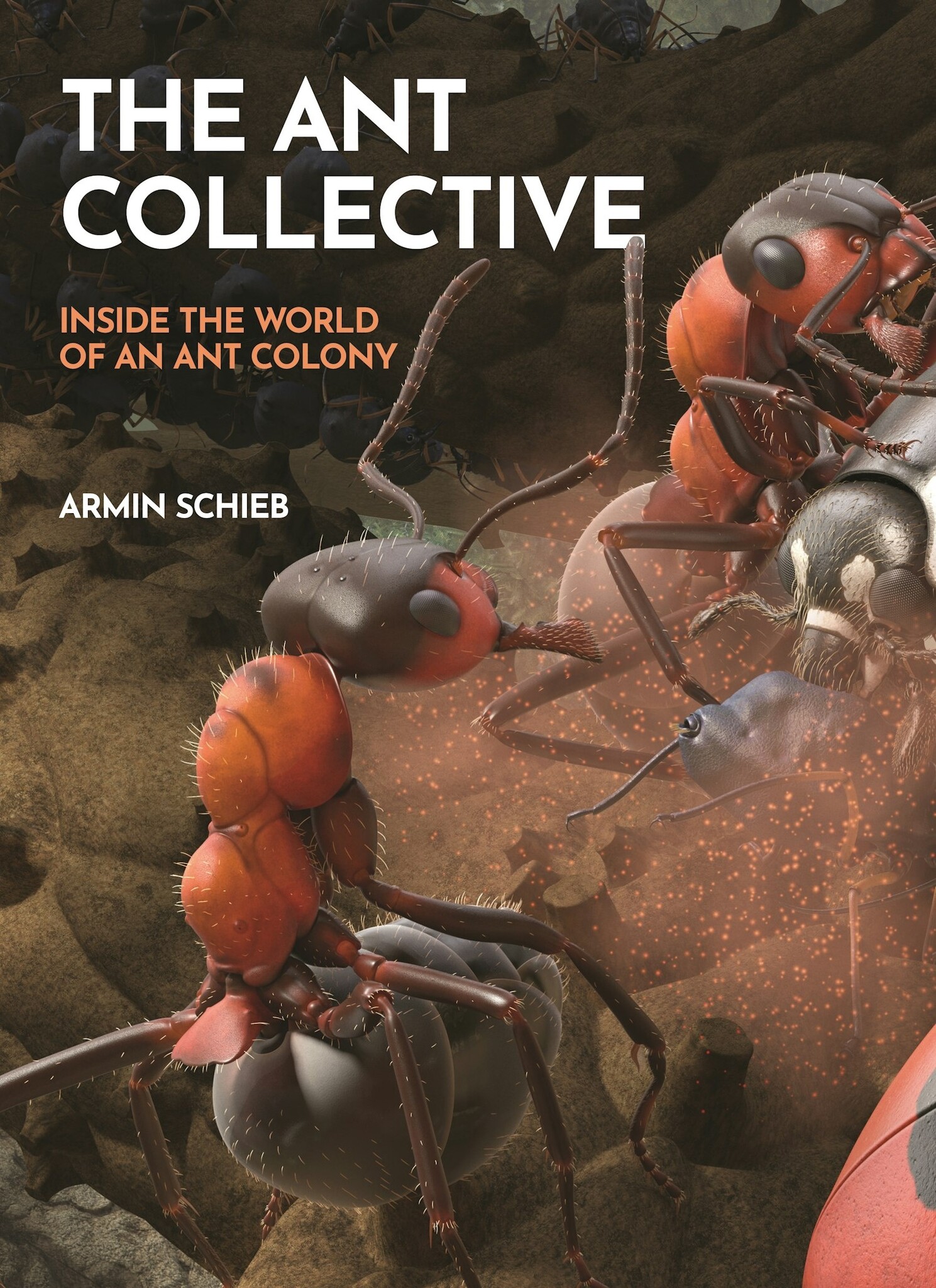 The Ant Collective - Inside the World of an Ant Colony