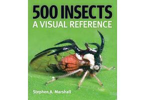 500 Insects