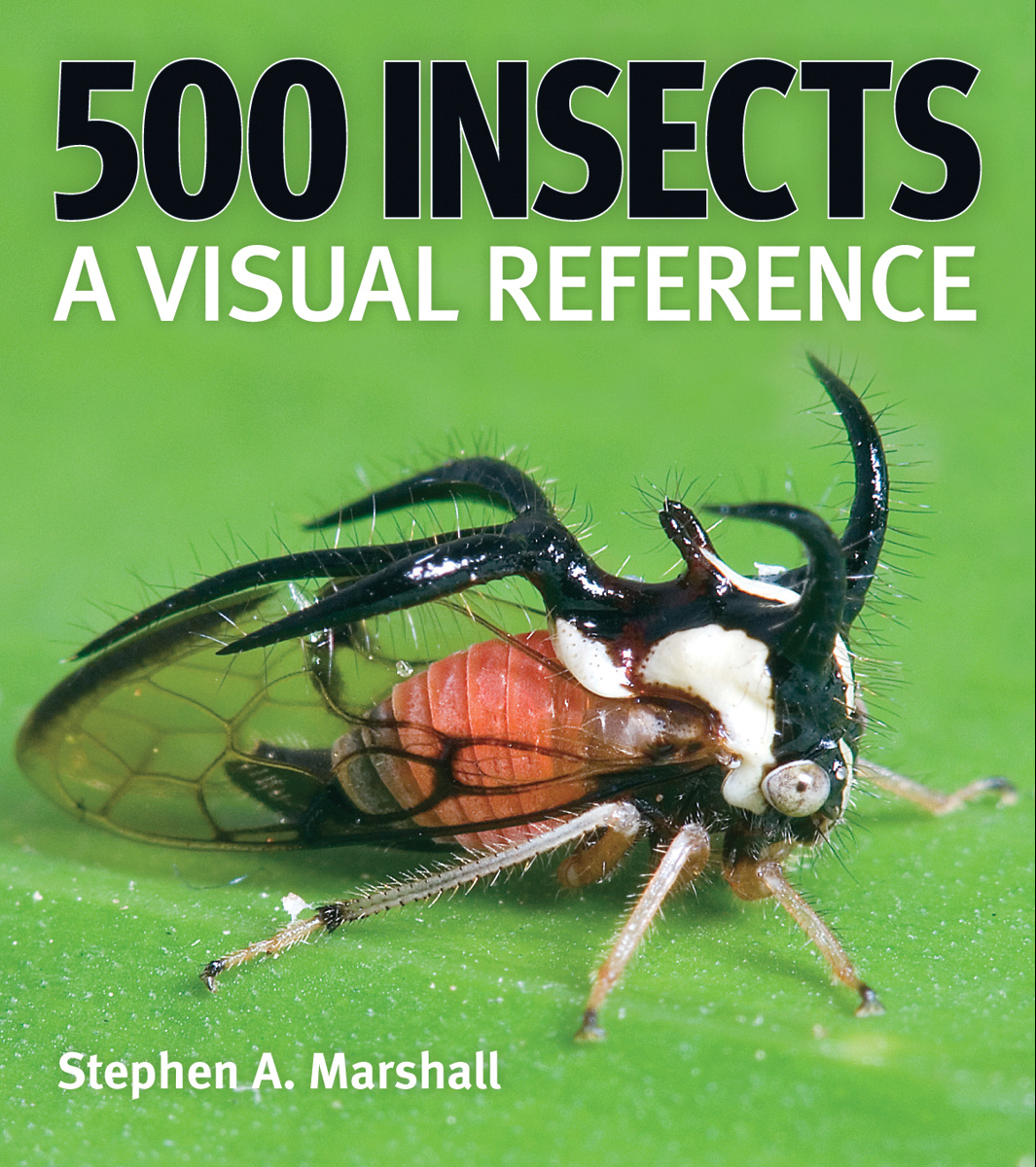 500 Insects - A Visual Reference