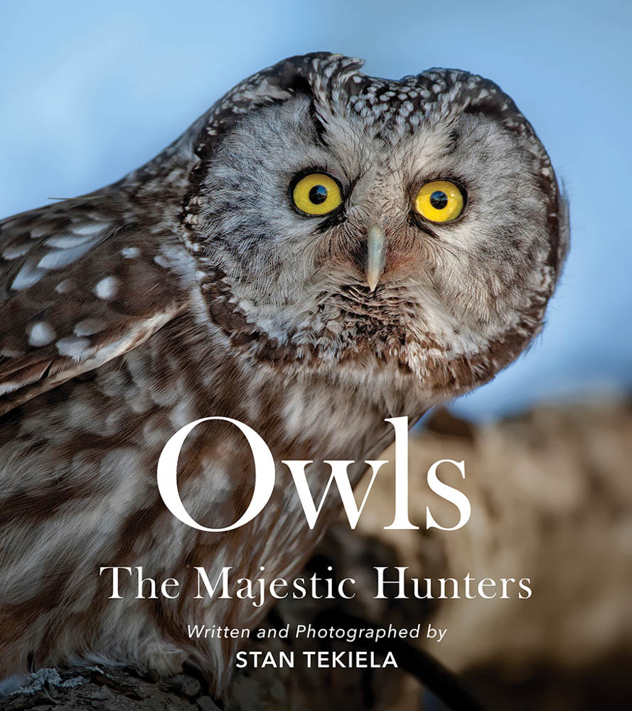 Owls- The Majestic Hunters