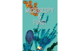 Microscopy & Fungi