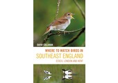 Where to Watch Birds in Southeast England