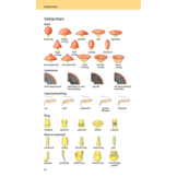 Eetbare en giftige paddenstoelen