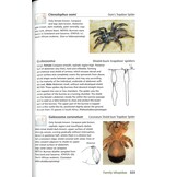 Field Guide to the Spiders of South Africa
