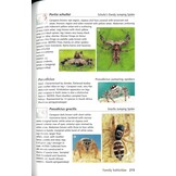 Field Guide to the Spiders of South Africa