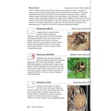 Field Guide to the Spiders of South Africa