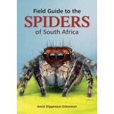 Field Guide to the Spiders of South Africa