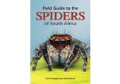 Field Guide to the Spiders of South Africa