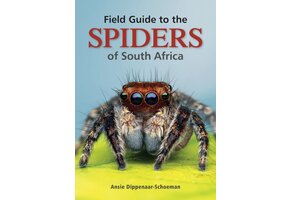 Field Guide to the Spiders of South Africa