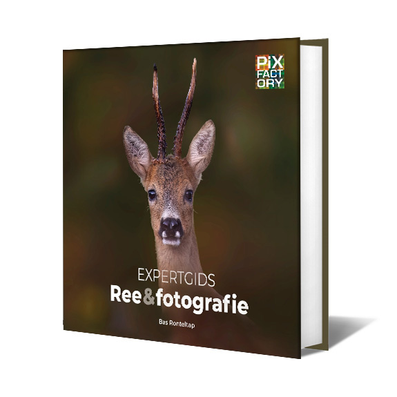 Expertgids Ree&fotografie