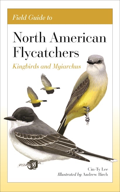 Field Guide to North American Flycatchers - Kingbirds and Myiarchus