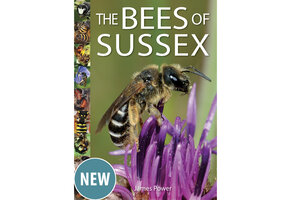 The Bees of Sussex