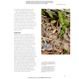 The Lives of Spiders: A Natural History of the World's Spiders