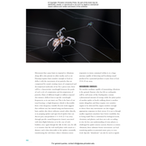 The Lives of Spiders: A Natural History of the World's Spiders