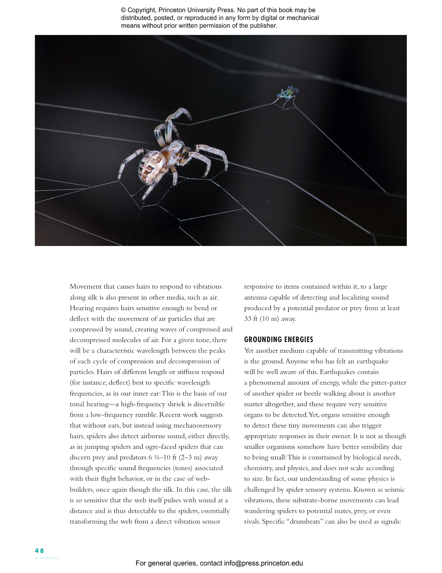 The Lives of Spiders: A Natural History of the World's Spiders