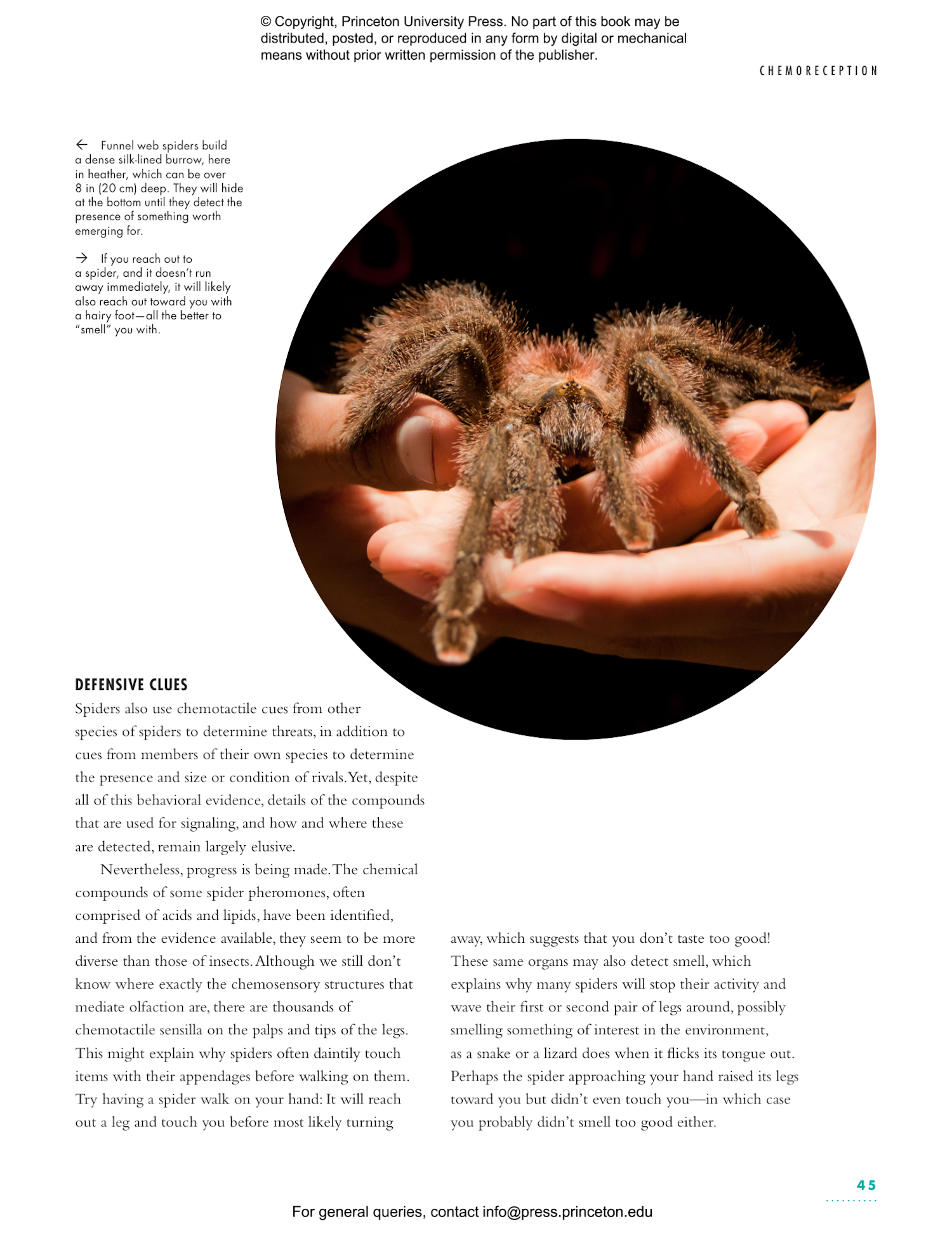 The Lives of Spiders: A Natural History of the World's Spiders