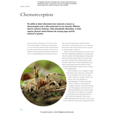 The Lives of Spiders: A Natural History of the World's Spiders