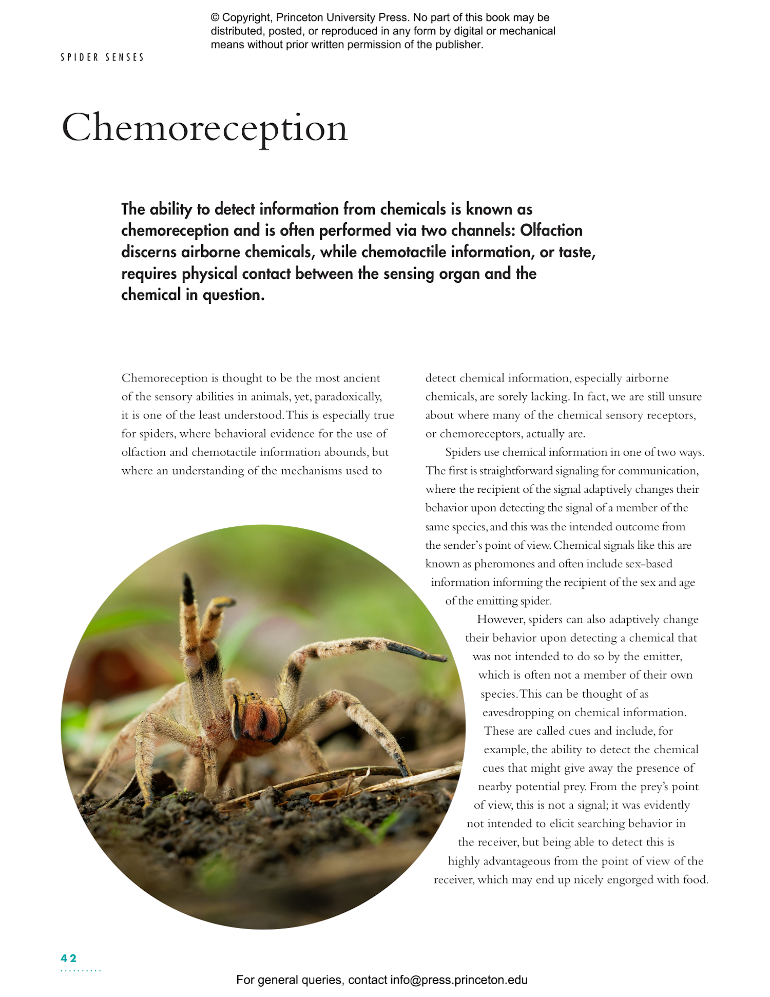 The Lives of Spiders: A Natural History of the World's Spiders