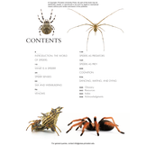 The Lives of Spiders: A Natural History of the World's Spiders