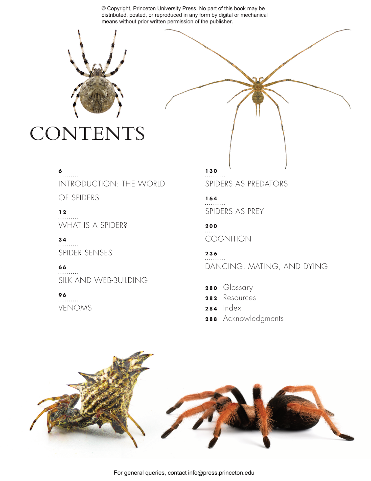 The Lives of Spiders: A Natural History of the World's Spiders