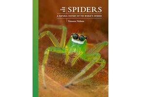 The Lives of Spiders