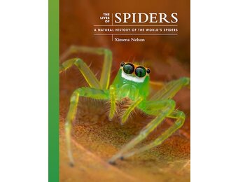 The Lives of Spiders