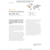 The Lives of Bees: A Natural History of Our Planet's Bee Life