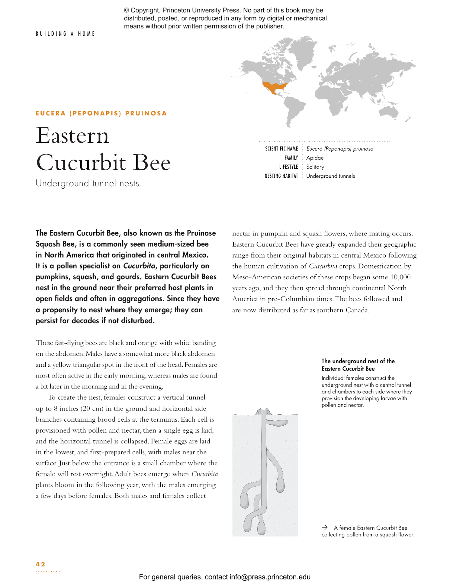 The Lives of Bees: A Natural History of Our Planet's Bee Life