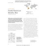 The Lives of Bees: A Natural History of Our Planet's Bee Life